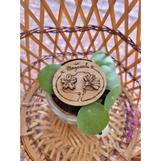 Boucles d’oreilles Bois : Sakura et Ginkgo