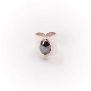 Produit d'entretien Argent