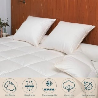 Couette hiver Oie 260 x 240 cm