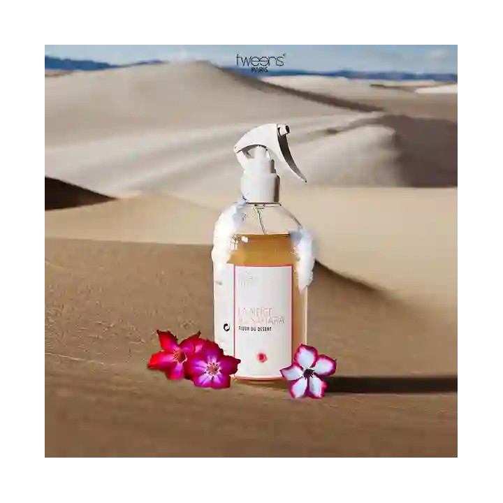 LA NEIGE AU SAHARA - Fleur du desert
