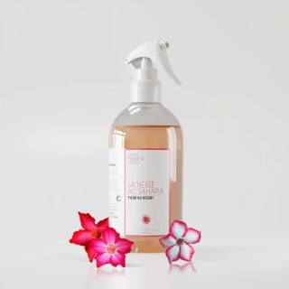 LA NEIGE AU SAHARA - Fleur du desert