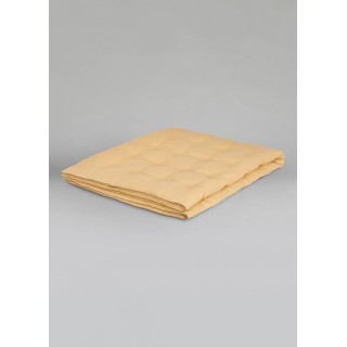 Plaid Biarritz Curry