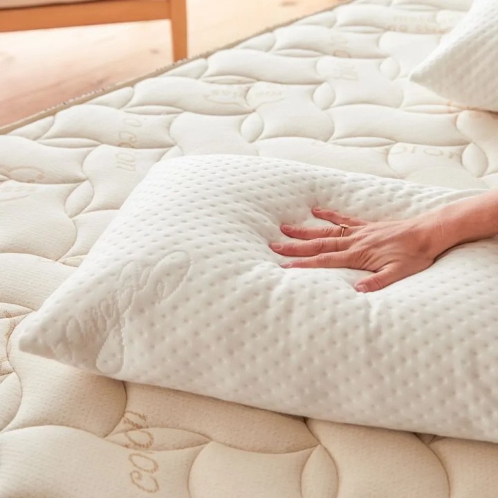 Oreiller Luxe Douceur 50x75