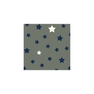 Coupon enduit 50x80cm Etoile gris/bleu