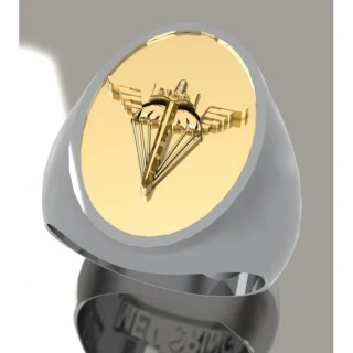 ECOLE des TROUPES AÉROPORTÉES ETAP - Argent massif + Plateau Or massif 9 carats 375/1000eme - Armée de Terre