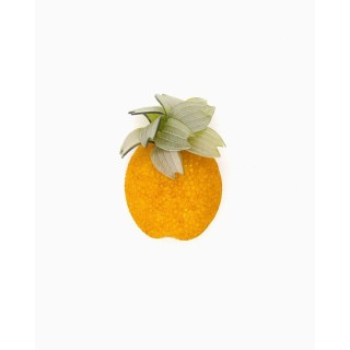 Broches bijoux fruits Ananas - Grand