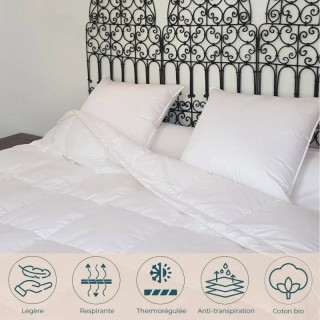 Couette fine fraicheur Canard 260 x 240 cm