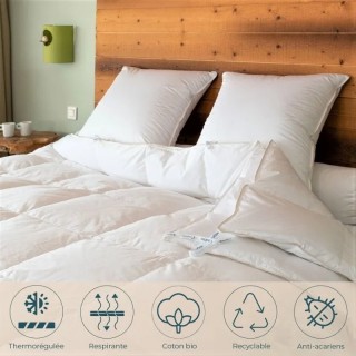 Couette King Size 4 saisons canard - 300 x 250 cm