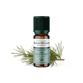 Huile essentielle Pin Sylvestre bio - 10 ml